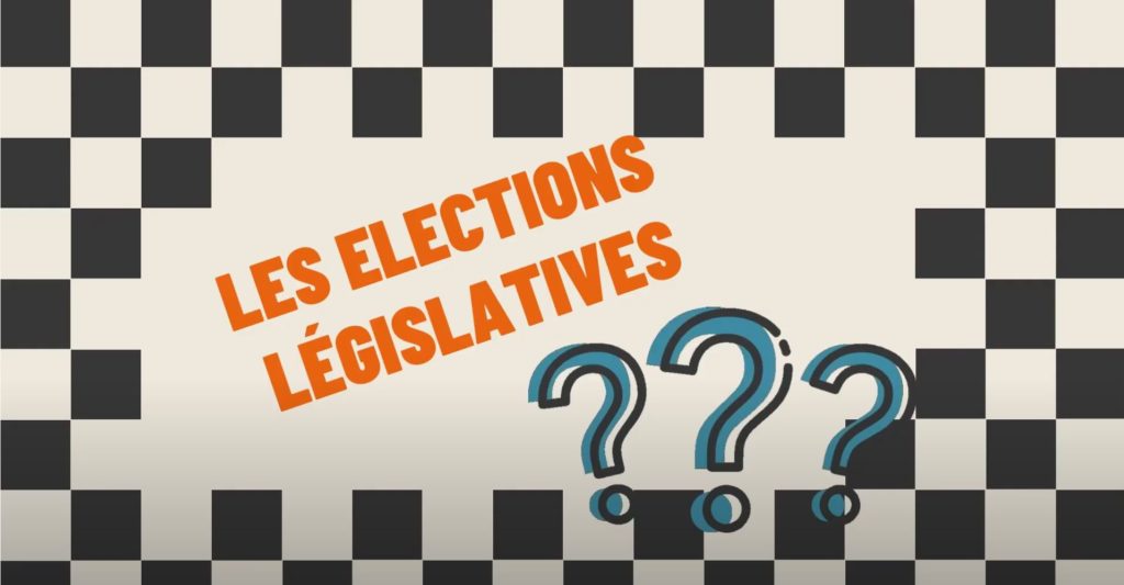 Comprendre les élections législatives: une vidéo de Pauline Le Fur